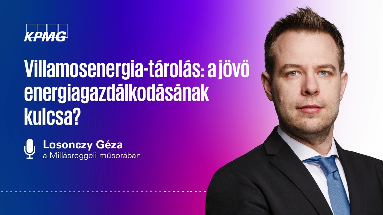 Villamosenergia-t&aacute;rol&aacute;s: a j&ouml;vő energiagazd&aacute;lkod&aacute;s&aacute;nak kulcsa?