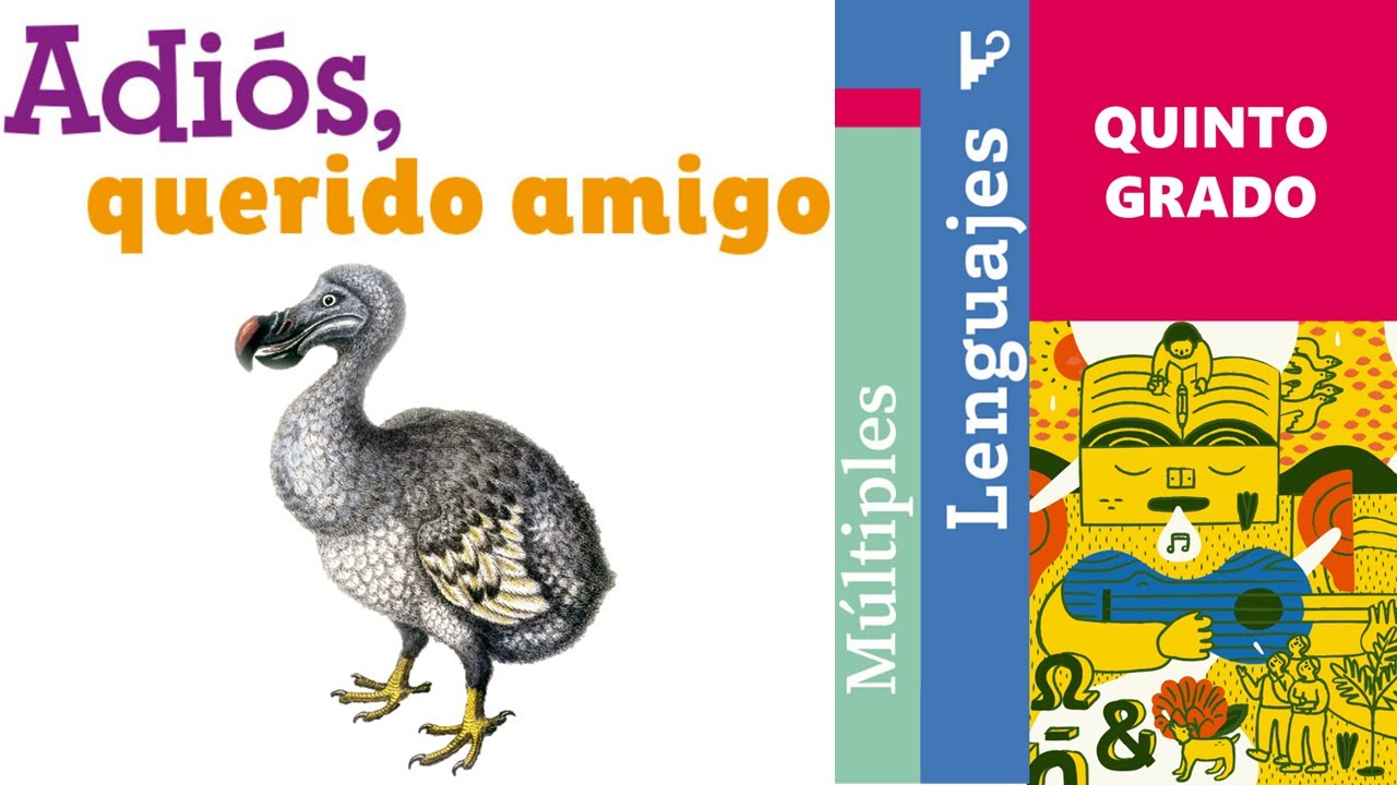 Adiós, querido amigo (Múltiples lenguajes, Quinto grado)