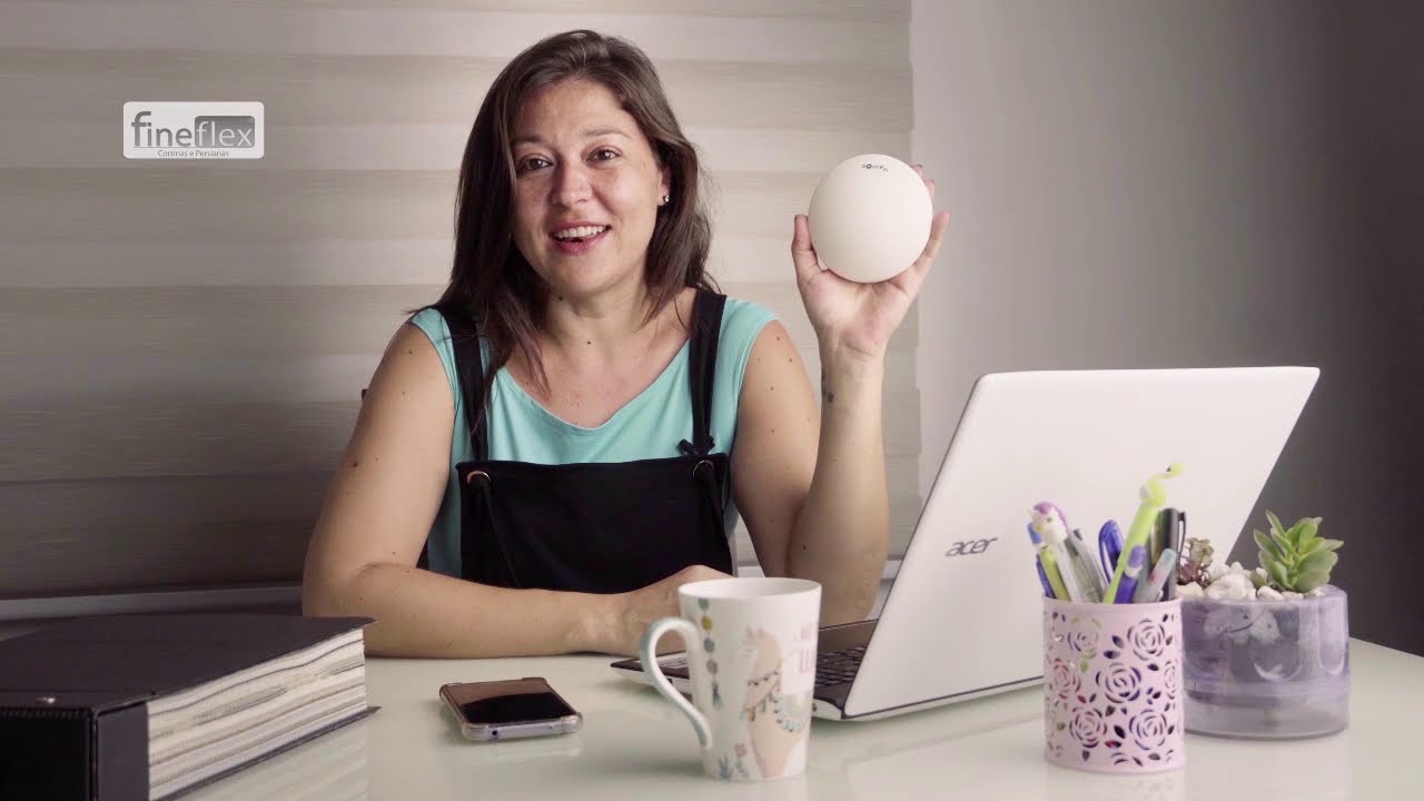 InteO Station Somfy - Apresentação Fineflex