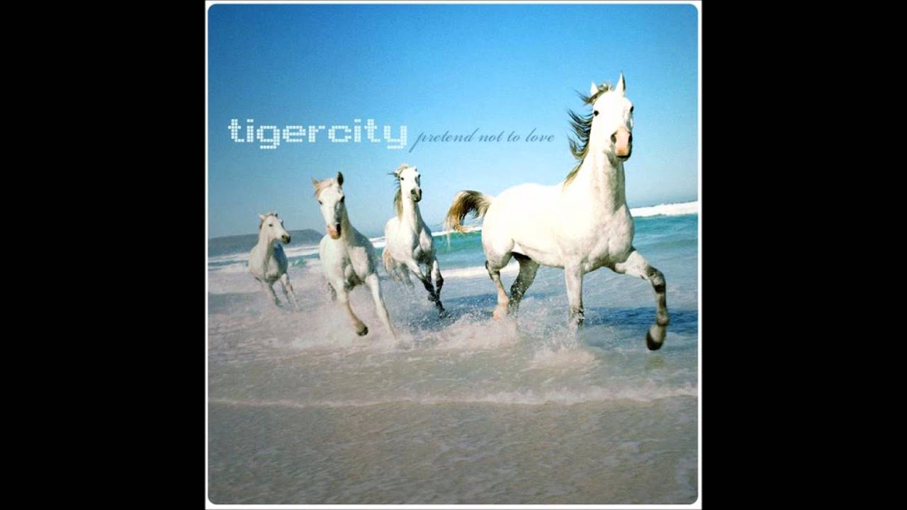Tigercity - Are You Sensation