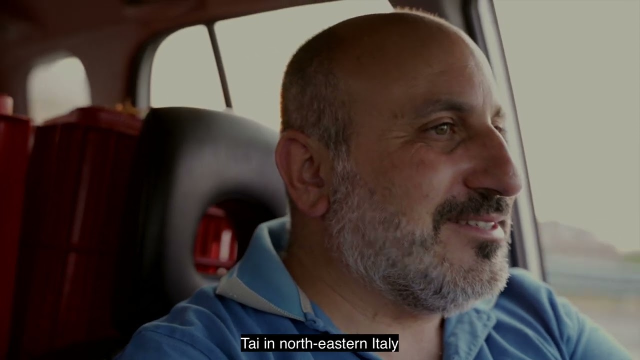 Un Anno nelle vigne del Cirò 