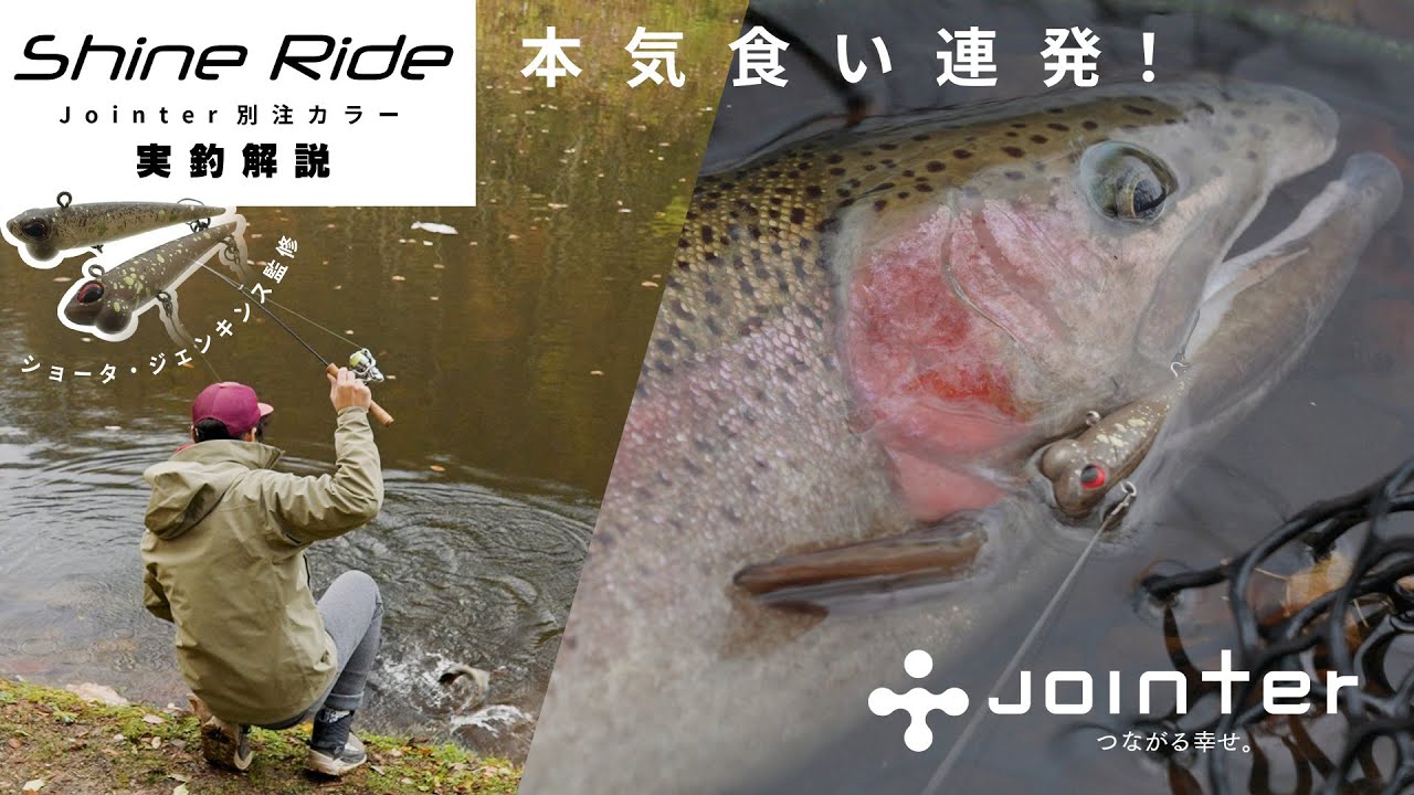 Jointerコラボレーター《ショータ・ジェンキンス監修》シャインライド別注カラー 解説
