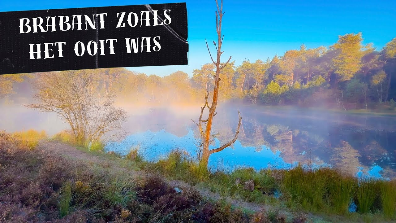 43 Het vennenland van Kampina | 11 min.