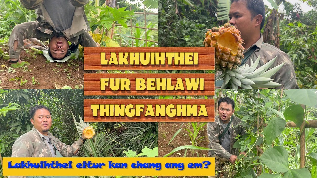 Thingfanghma san zawng teh # Huan thlai lawh #