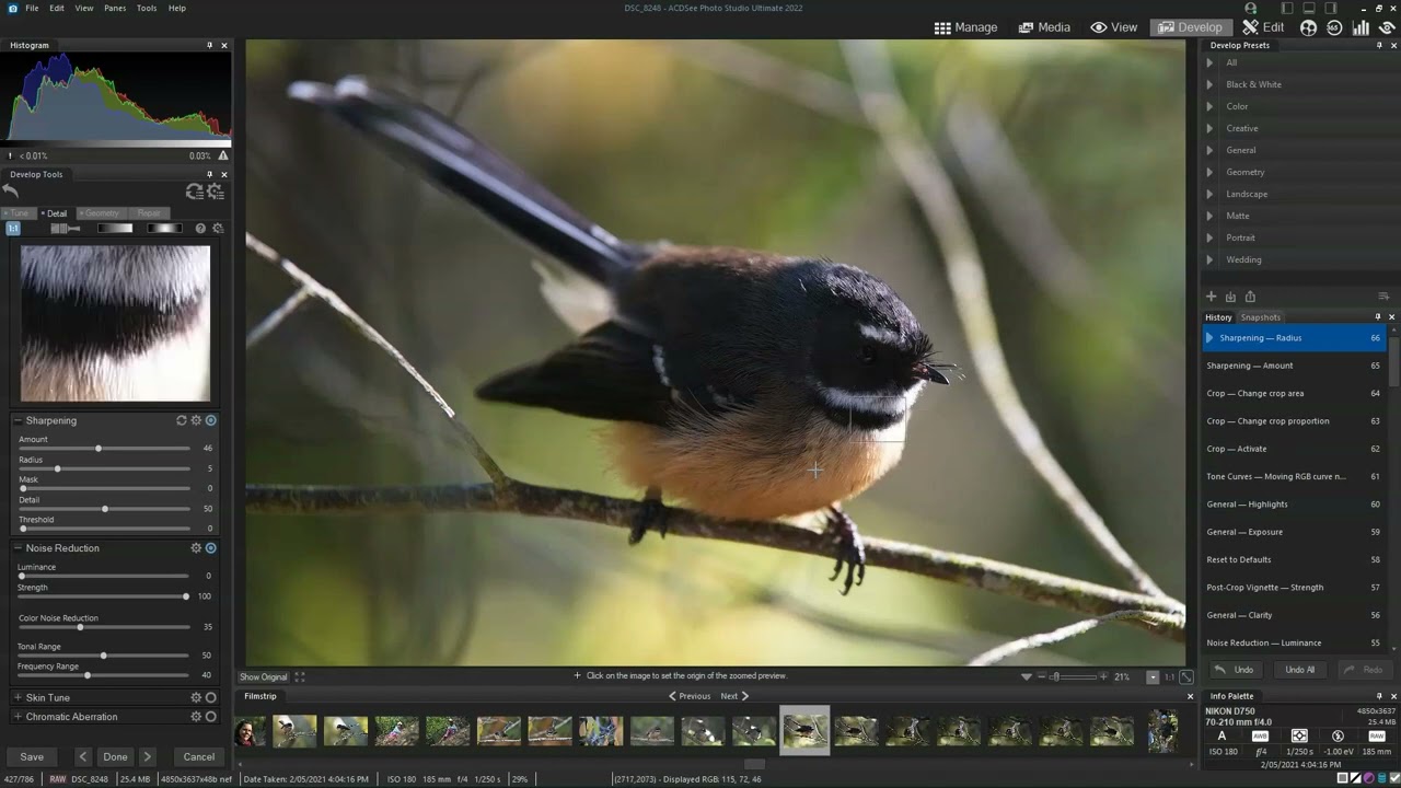 How to edit your photos in ACDSee Ultimate 2022