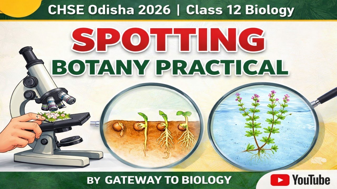 Spotting in Botany Practical 🌱 CHSE Odisha 2026 | Class 12 Biology Practical | Gateway to Biology