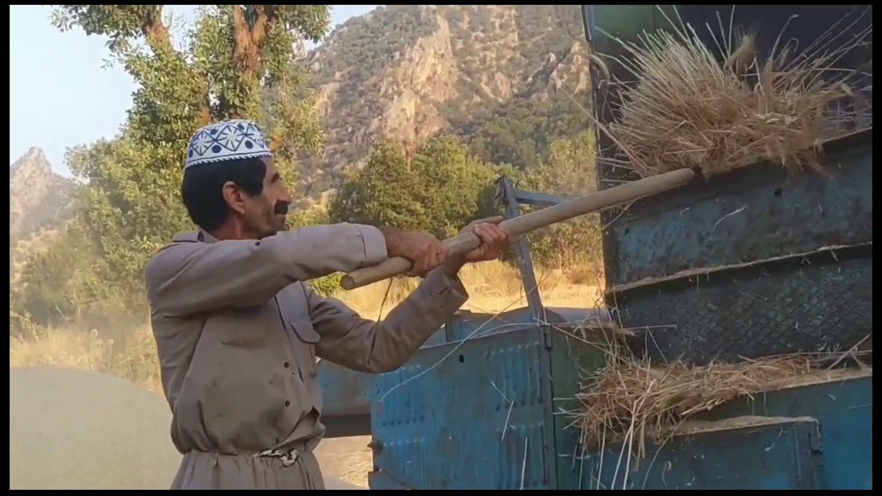 New safar naqabi