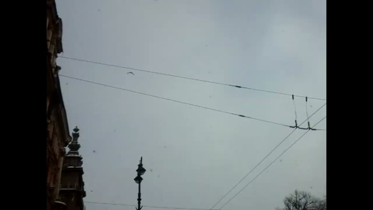 Снег над Петербургом
