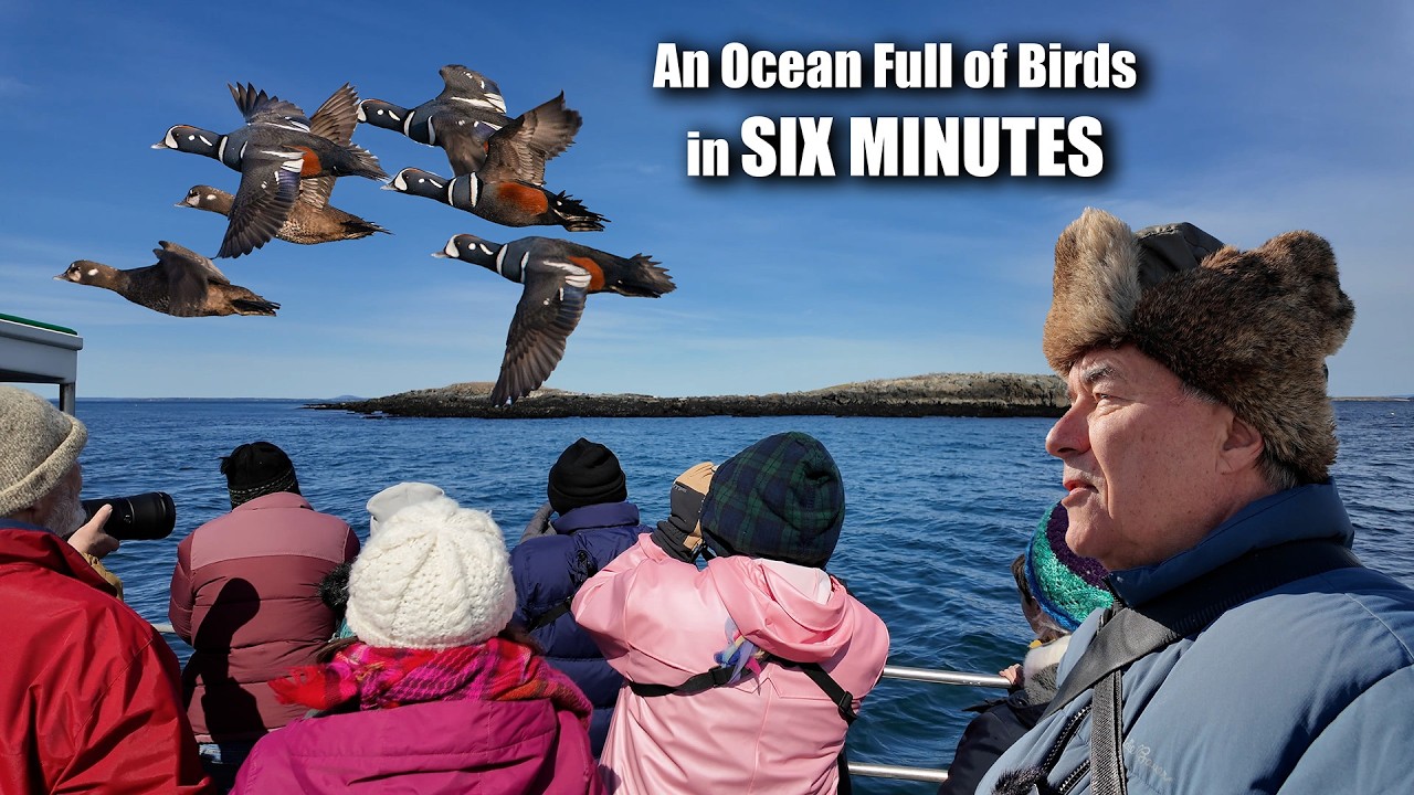 Only ONE CHANCE at this Birding Adventure