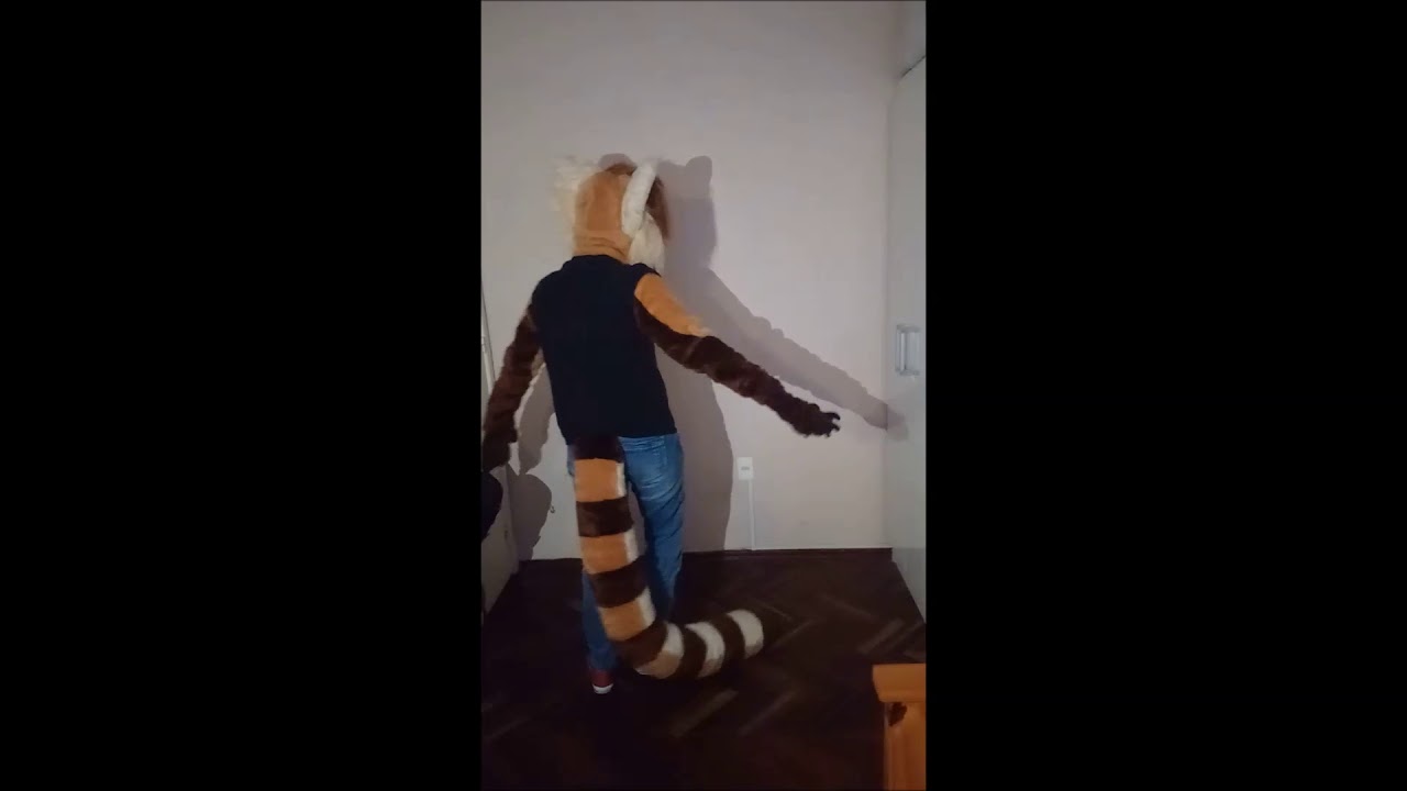 Pandochy fursuit partial