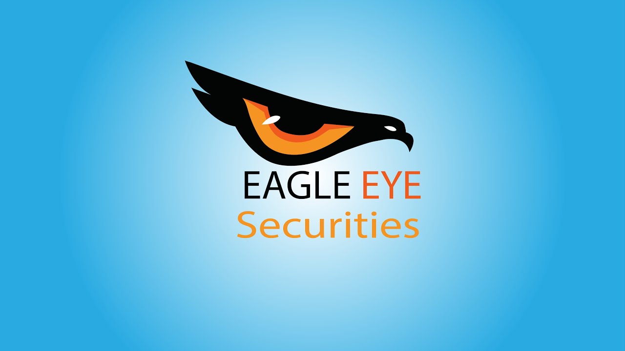 Logo Design illustrator | Simple Logo Design | Eagle Eye