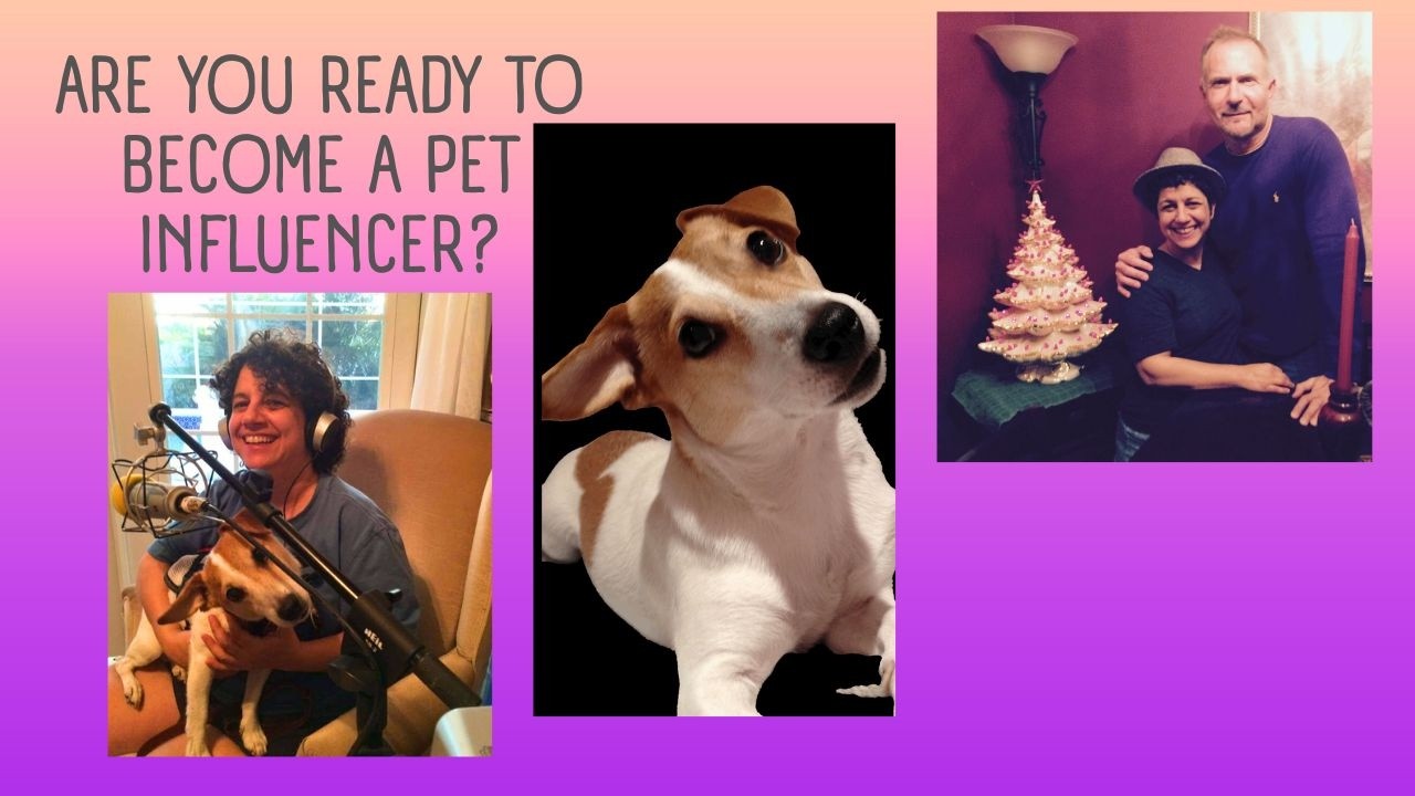 Do You Want To Be A Pet Influencer?