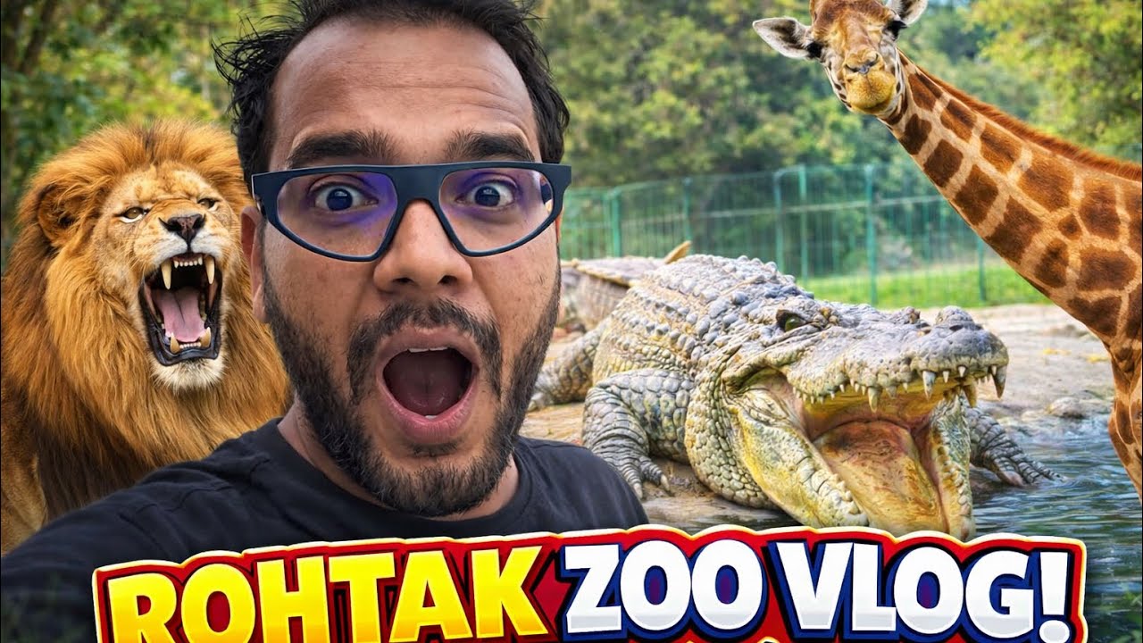 Rohtak zoo vlog || itna bada crocodile rohtak mai || new vlog by Basant Jangra #zoovlog