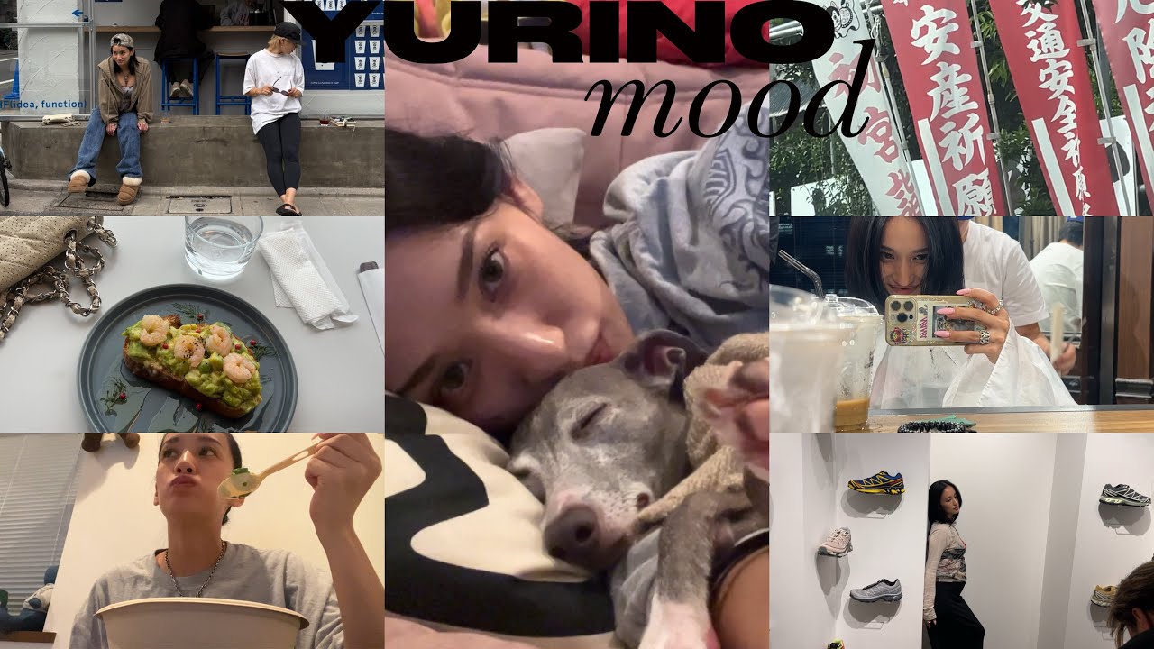 日常vlog❤️安産祈願にﾒﾝﾃﾅﾝｽにお仕事にサラダUberに愛するボブとイチャイチャ🐶