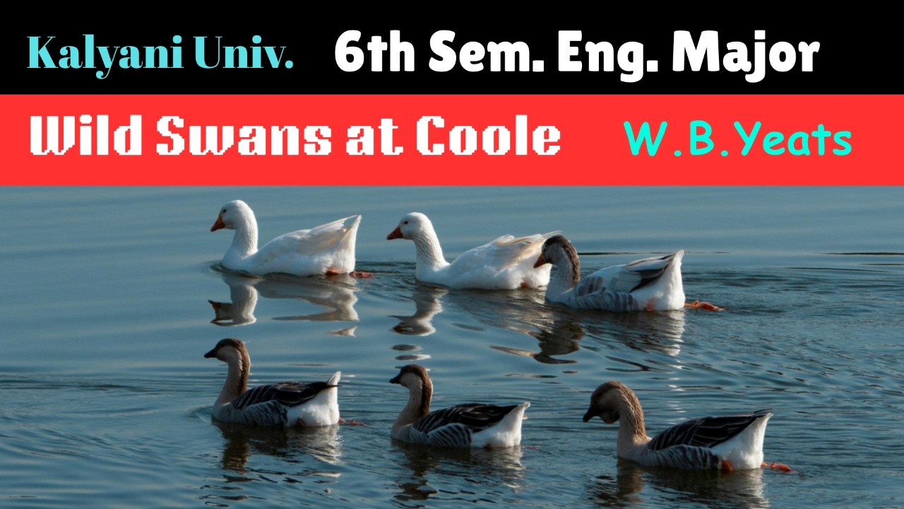 The Wild Swans at Coole – Text Explanation | W.B. Yeats | 6th Sem English Major