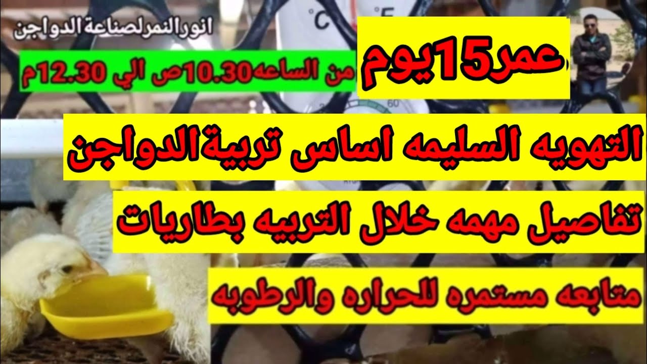 التهويه السليمه اهم من العلف والماء /انورالنمرلصناعةالدواجن