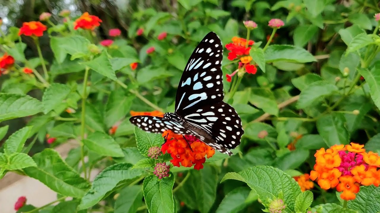 Lekker naar buiten in het Voorjaar! - Juf in de Natuur