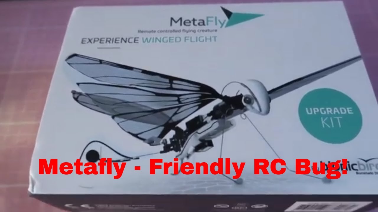 Metafly — ваш дружелюбный RC-жучок! Ознакомьтесь с этим, прежде чем собирать.
