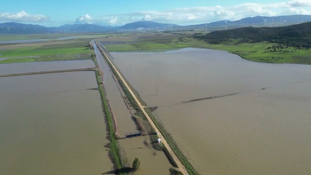 Visión 360 grados desde zona central del canal colector del este