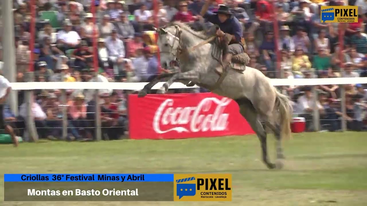 Criollas Minas y Abril 2023 - Montas en Basto Oriental