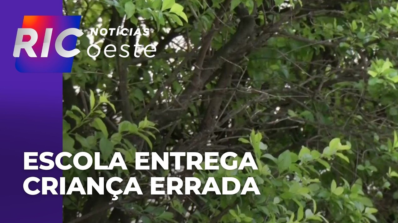Escola entrega criança errada: mãe de outra menina fala sobre o que aconteceu