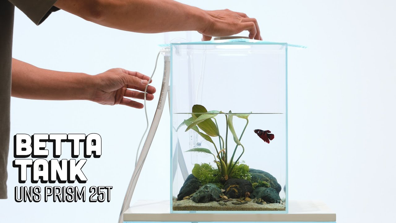 Simple Unique Betta Fish Tank - Ultum Nature Systems Prism