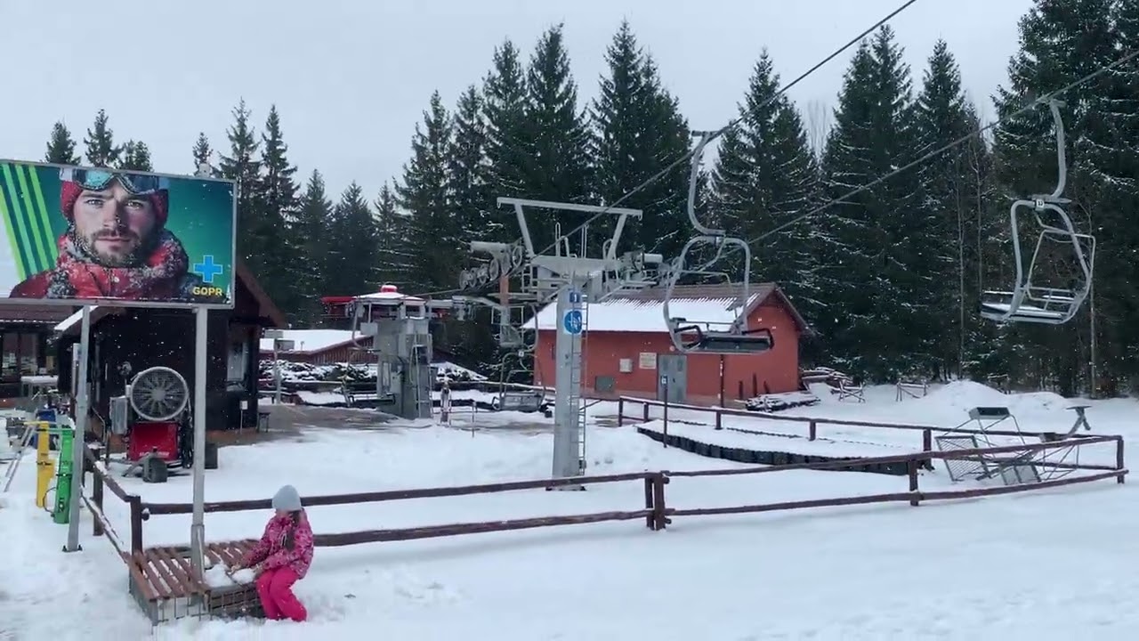 DZIKOWIEC - 2026 - 1