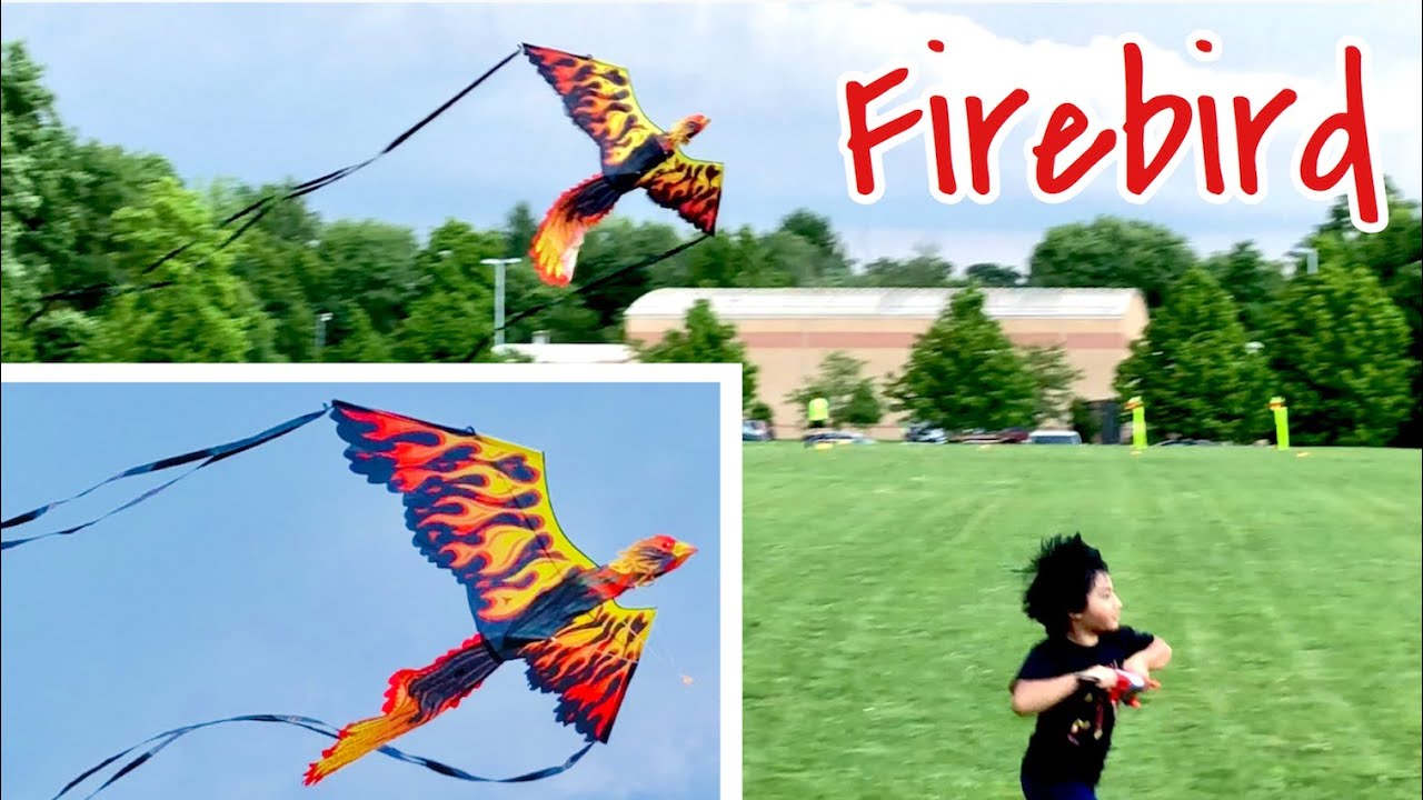 3D Firebird Kite from COSTCO | Supersized Nylon Kite - 74