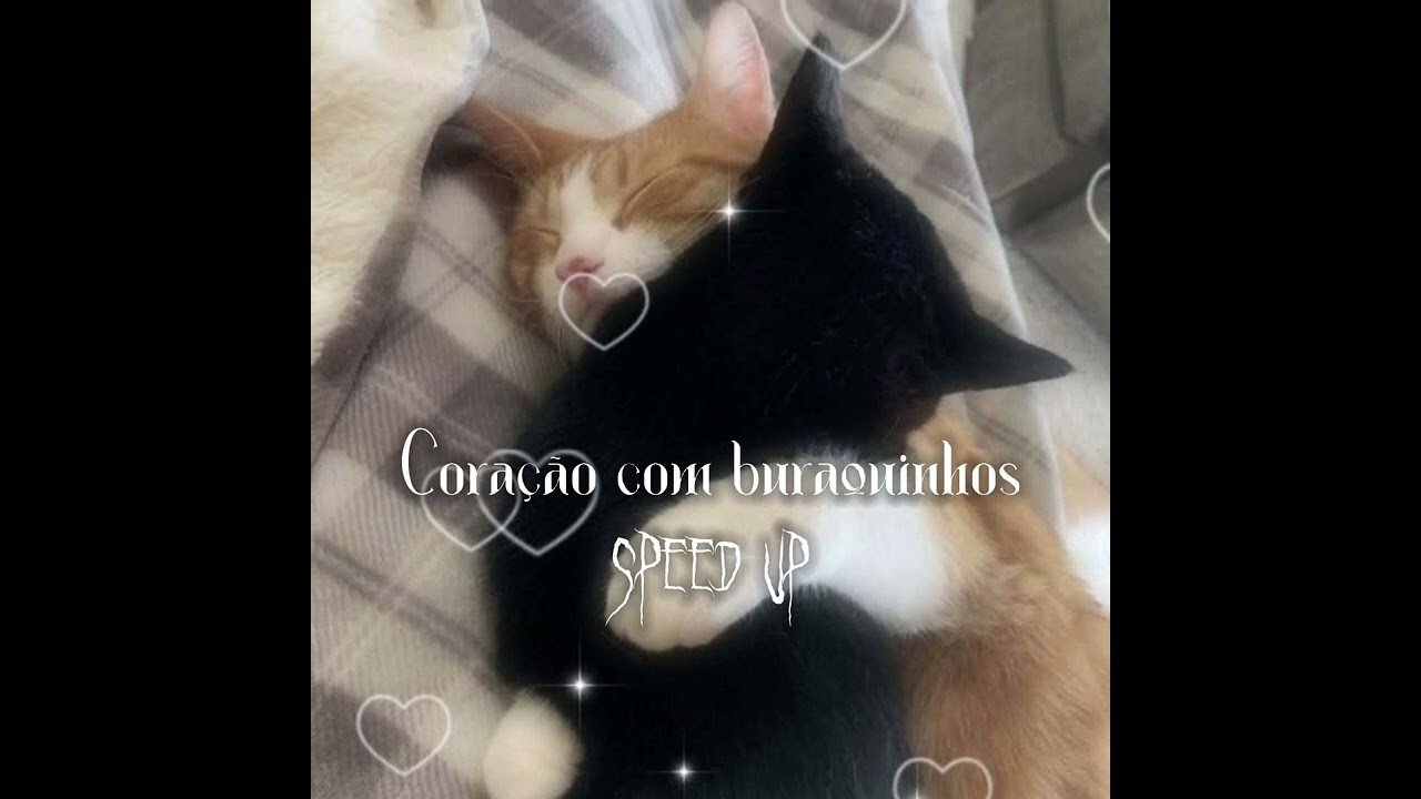 Coração com Buraquinhos - Chiquititas / Speed Up - Speed Song