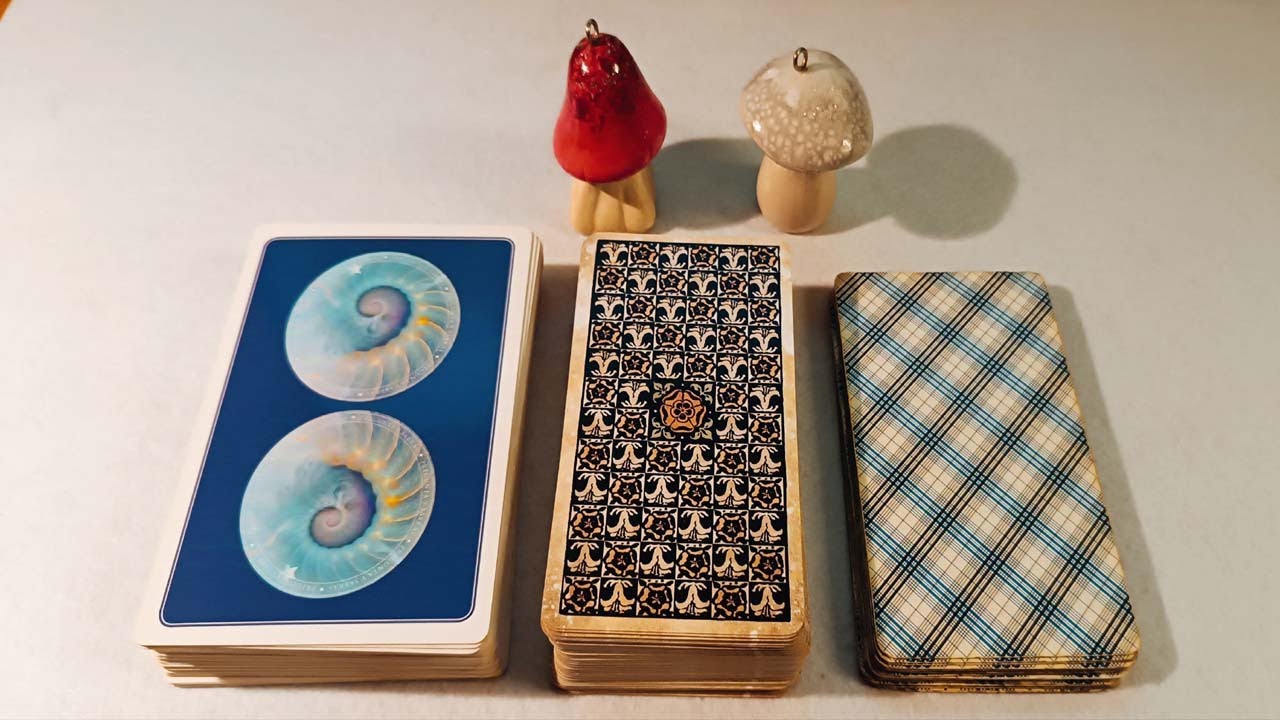 SUS  SENTIMIENTOS INTERNOS Y PROFUNDOS EN ESTE MOMENTO.  Tarot interactivo.