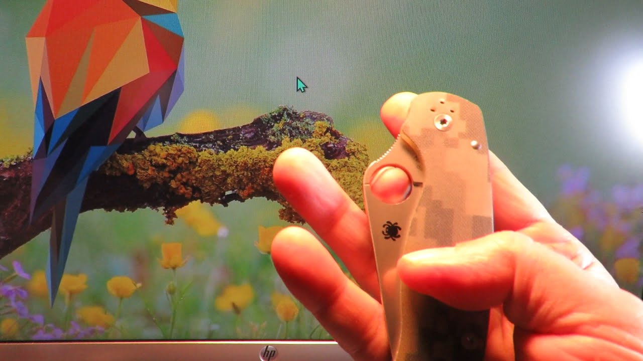 HOW TO SPYDIE FLICK A POCKET KNIFE