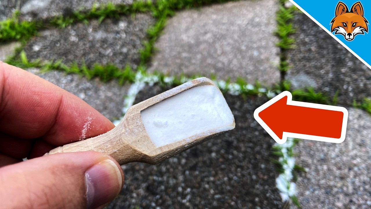 Die Nachbarn waren verwundert, wie ich mein Unkraut entferne💥(Genialer Trick)🤯