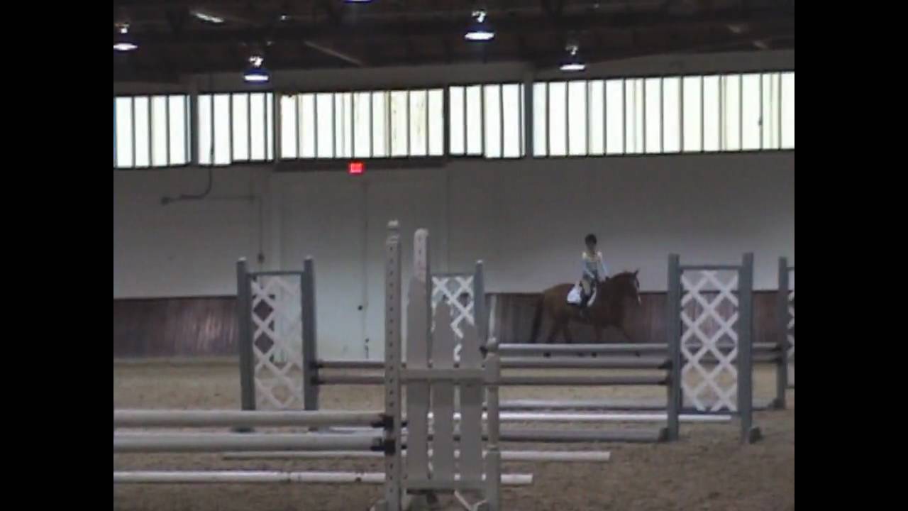 Mclain Ward clinic - gymnastics