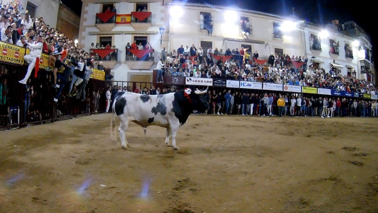 Coria 2022 San Juan