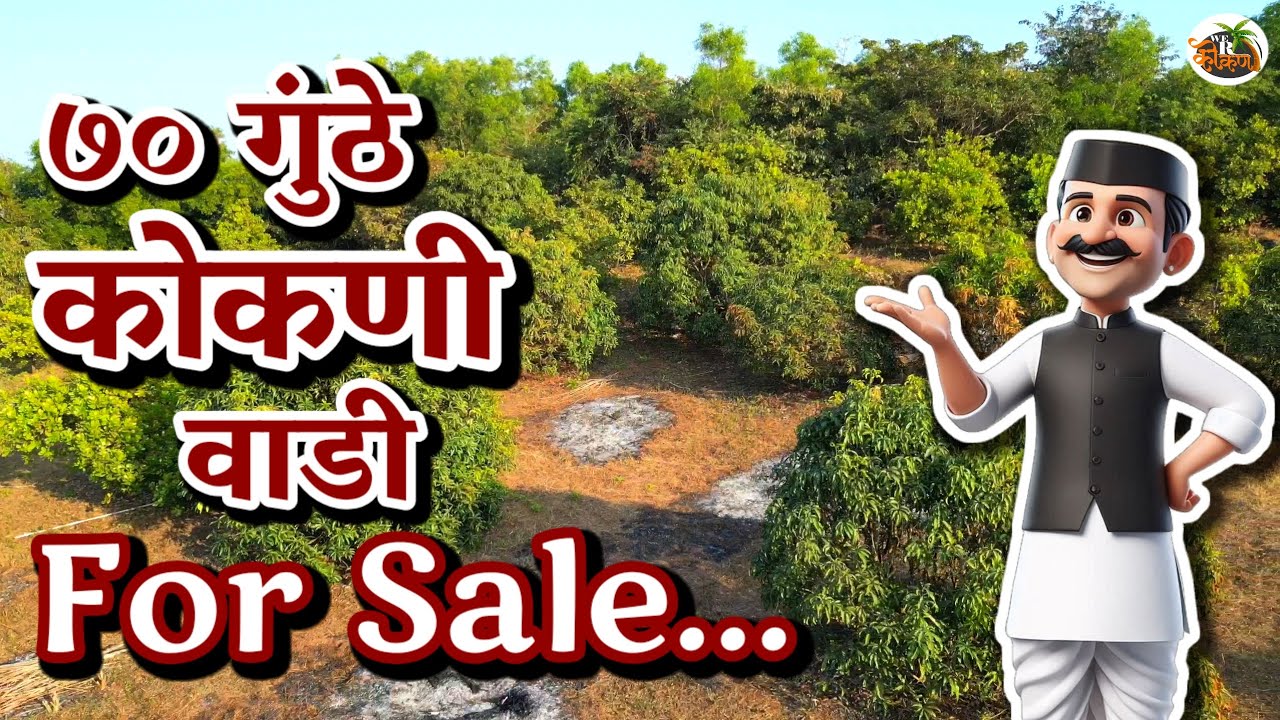 हापूस आंबा बाग ||  गुहागर बिच जवळ || एकच संधी जी पुन्हा नाही 