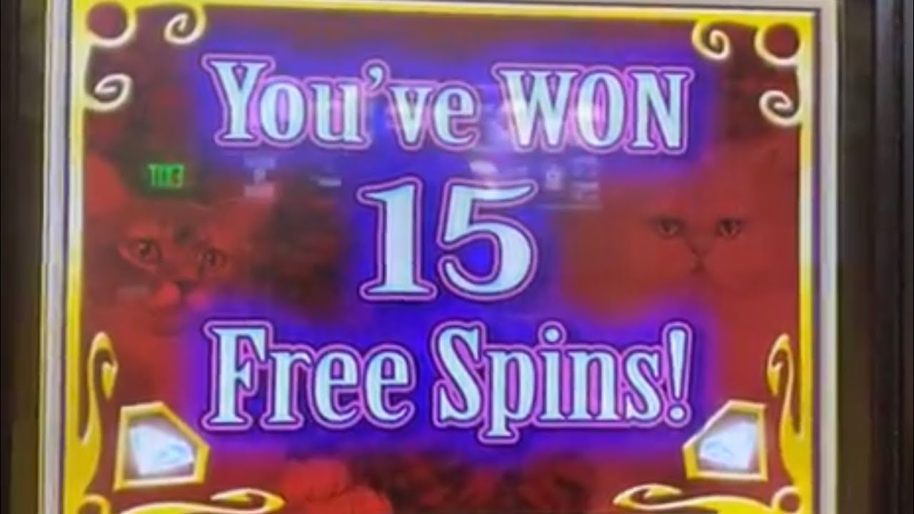 💰huge win💰🙀kitty glitter🙀 $15 spins