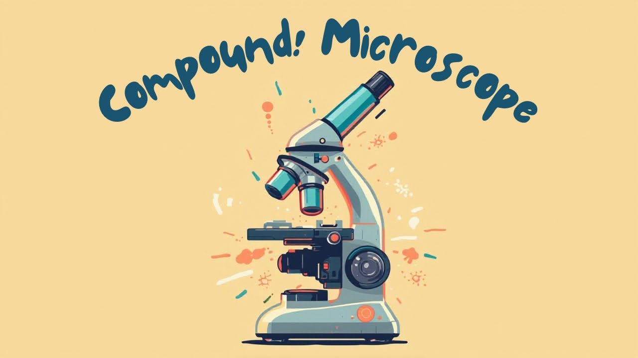 Compound microscope Magnifying Power at infinity & D ll Class 12 PHYSICS ll