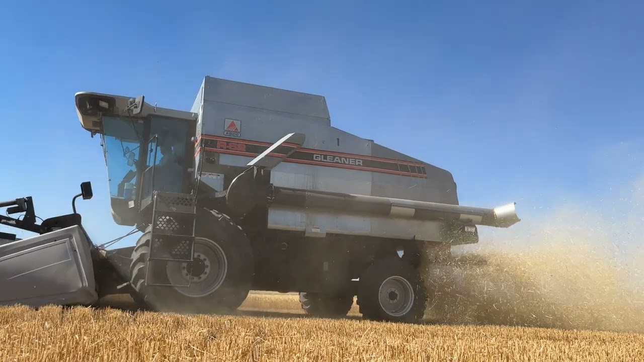LDI On the Road with Larry Ryan (short version)