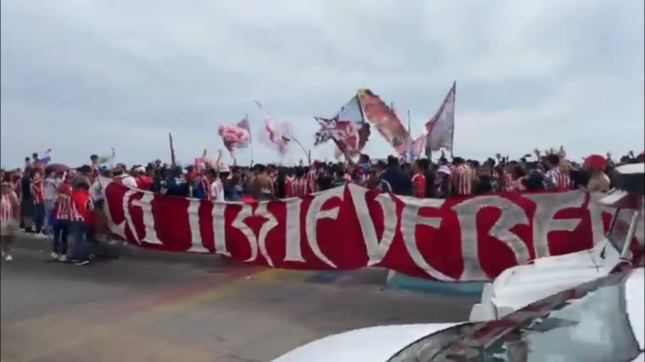 BANDERAZO DE CHIVAS EN MAZATLÁN UNA LOCURA 🐐❤️🔥 | #futbol #ligamx #chivas 