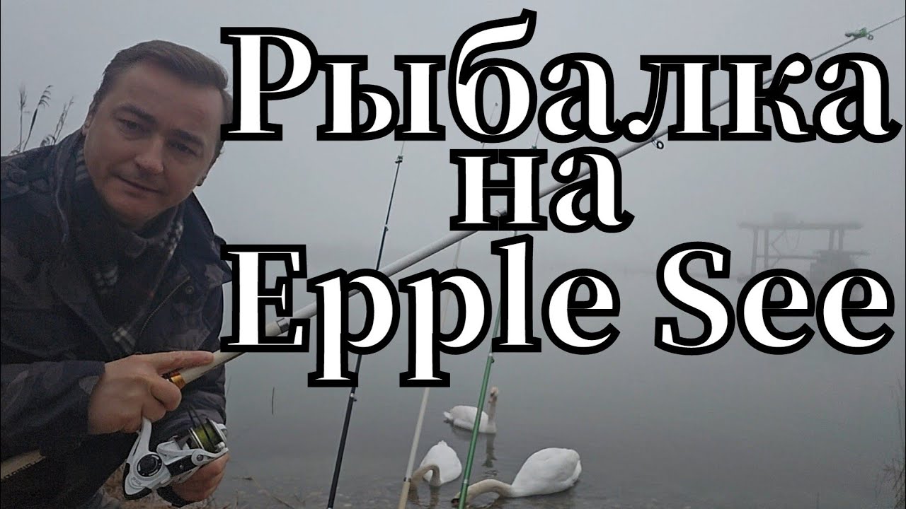 Активная рыбалка🎣 на Epple See клюнул ЯЗЬ на опарыш #рыбалка #angeln #fishing  #pescado #see #ЯЗЬ
