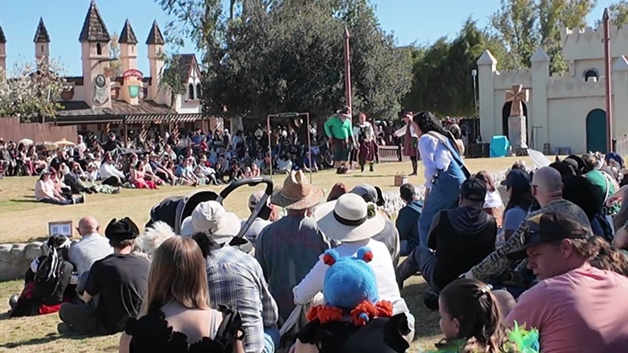 Red Tail Hawk  Falconry show