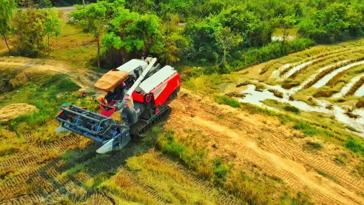 Kubota Combine Harvester - Professional Operator Harvest Season