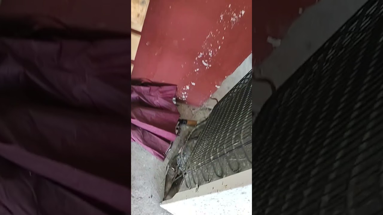 Refrigerador compresor dañado r600 cambio a compresor r134