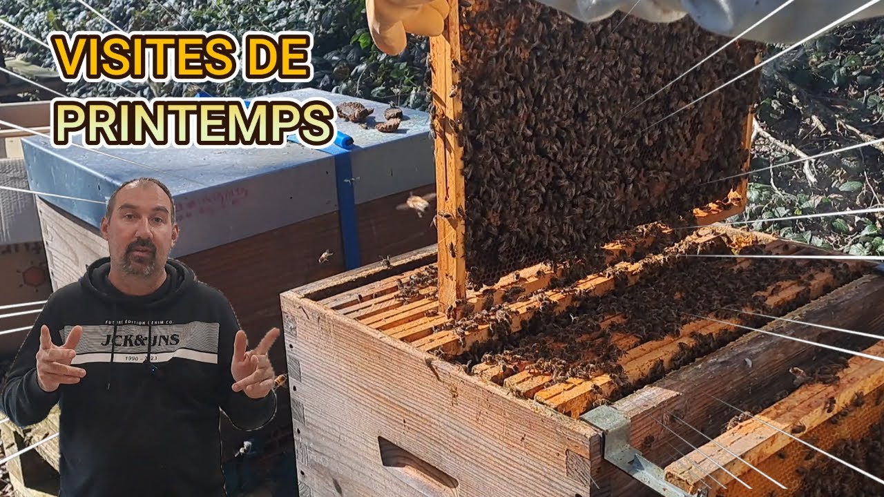 Visites de Printemps au rucher