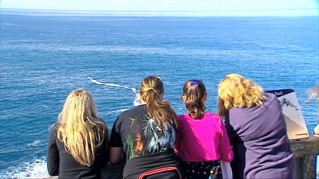 Coffs Harbour and Muttonbird Island on Sydney Weekender