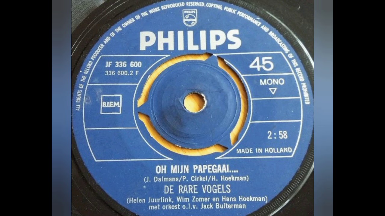 De Rare vogels - Oh mijn papegaai