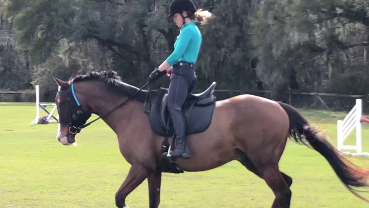 Gerd Heuschmann Clinic 2/4/20 April and Windsor 10