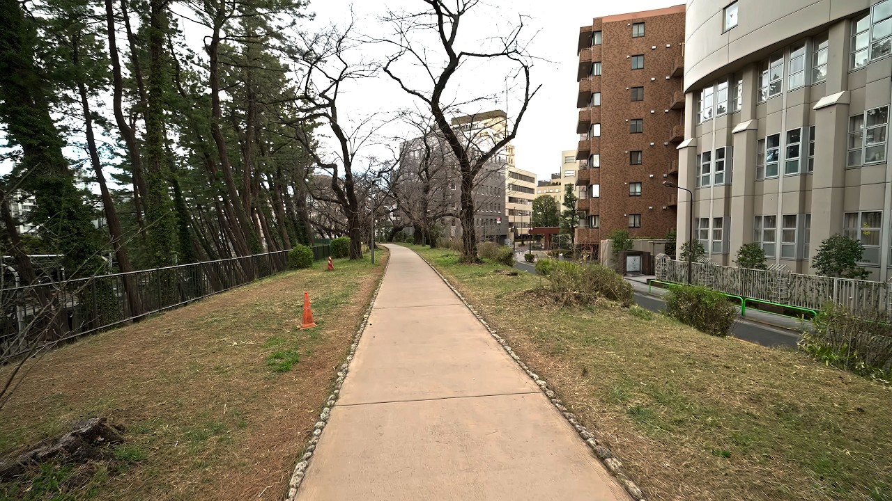 Преследуя Харуки Мураками - прогулка из Норвежского леса・4K HDR