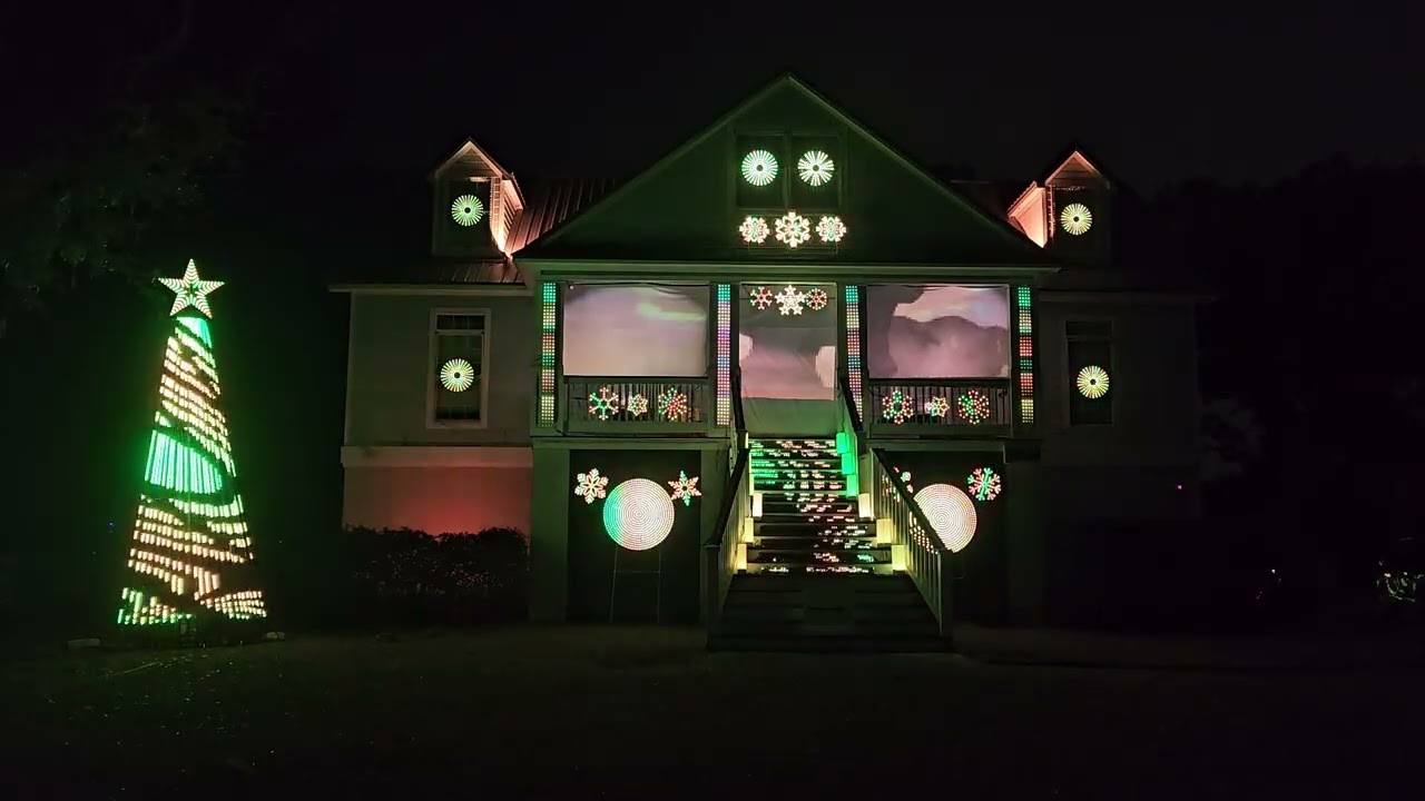 The Circle Of Life The Lion King