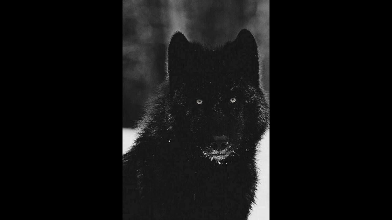 (FREE) Future x Drake Type Beat (HARD) - 